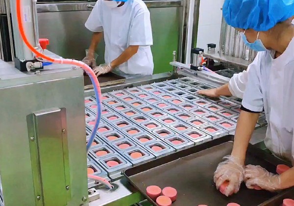 Application of modified atmosphere packaging machine